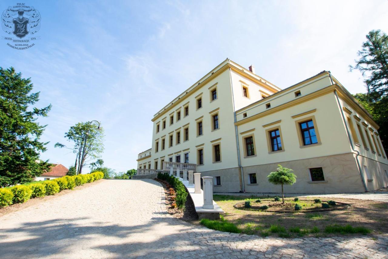 Palac Lubiechowa-Jelenia Gora- Riesengebirge Buitenkant foto